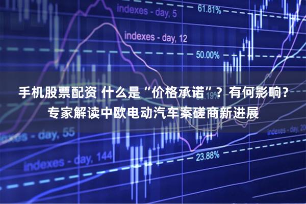 手机股票配资 什么是“价格承诺”？有何影响？专家解读中欧电动汽车案磋商新进展